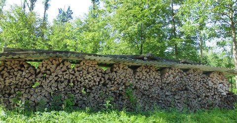 Bild Holzenergie Schweiz | © Holzenergie Schweiz